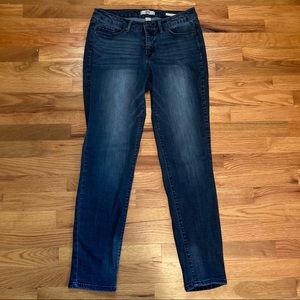 Vintage America Blues Boho Skinny Jeans Size 8